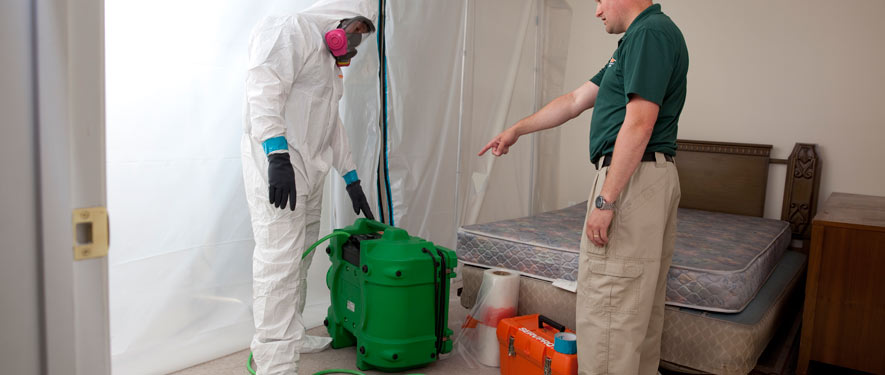 Rancho Santa Margarita, CA mold removal process